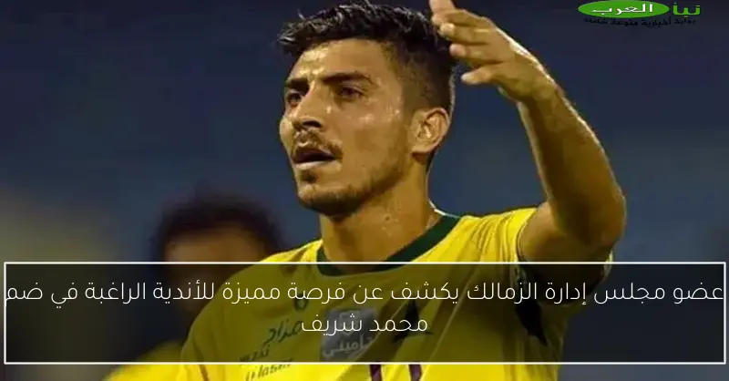عضو مجلس إدارة الزمالك يكشف عن فرصة مميزة للأندية الراغبة في ضم محمد شريف