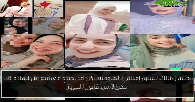 حبس مالك سيارة إقليمي المنوفية.. كل ما تحتاج معرفته عن المادة 18 مكرر 3 من قانون المرور
