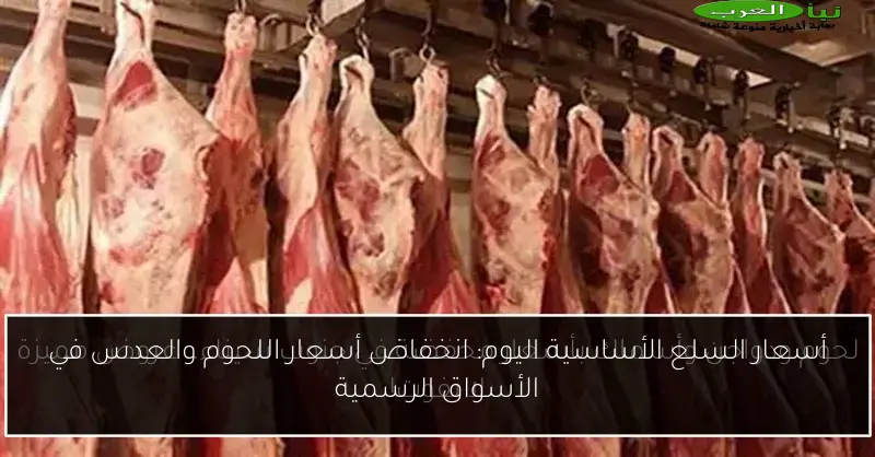 أسعار السلع الأساسية اليوم: انخفاض أسعار اللحوم والعدس في الأسواق الرسمية