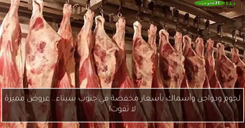 لحوم ودواجن وأسماك بأسعار مخفضة في جنوب سيناء.. عروض مميزة لا تفوت!