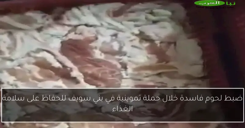 ضبط لحوم فاسدة خلال حملة تموينية في بني سويف للحفاظ على سلامة الغذاء