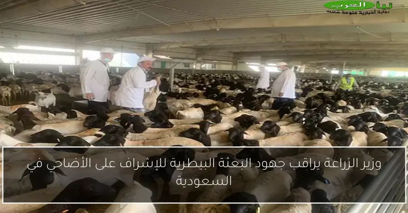 وزير الزراعة يراقب جهود البعثة البيطرية للإشراف على الأضاحي في السعودية