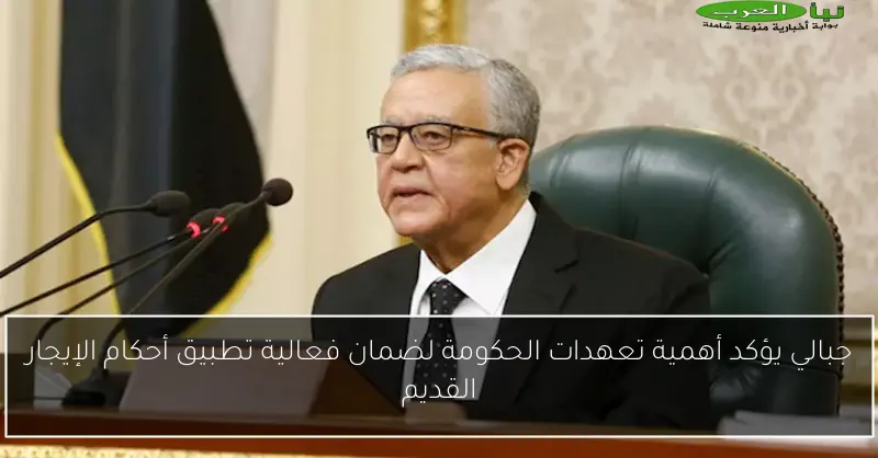 جبالي يؤكد أهمية تعهدات الحكومة لضمان فعالية تطبيق أحكام الإيجار القديم