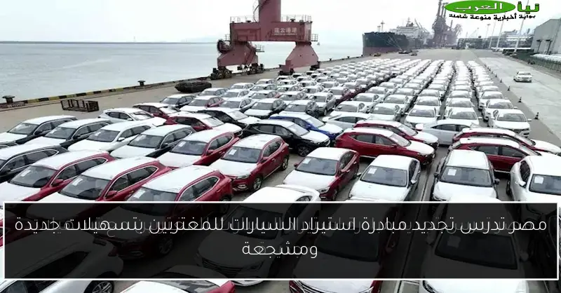 مصر تدرس تجديد مبادرة استيراد السيارات للمغتربين بتسهيلات جديدة ومشجعة
