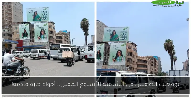 توقعات الطقس في الشرقية للأسبوع المقبل.. أجواء حارة قادمة!