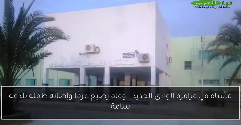 مأساة في فرافرة الوادي الجديد.. وفاة رضيع غرقًا وإصابة طفلة بلدغة سامة