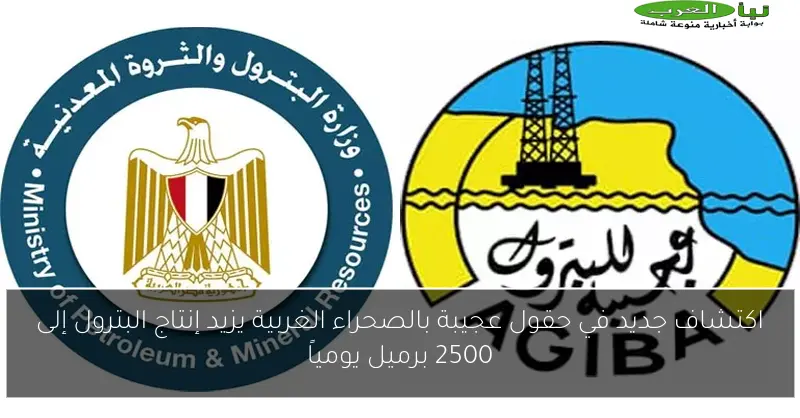 اكتشاف جديد في حقول عجيبة بالصحراء الغربية يزيد إنتاج البترول إلى 2500 برميل يومياً
