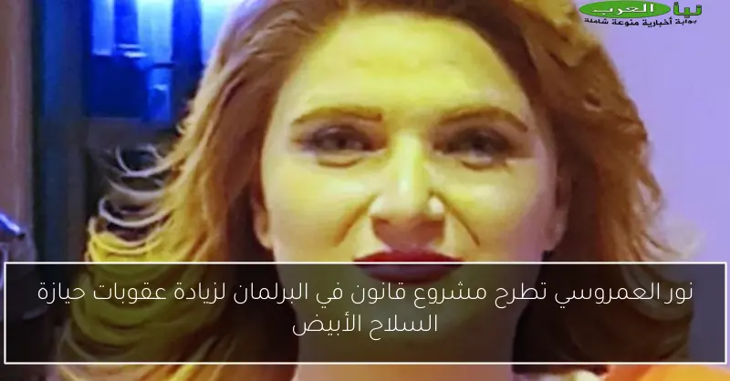 نور العمروسي تطرح مشروع قانون في البرلمان لزيادة عقوبات حيازة السلاح الأبيض