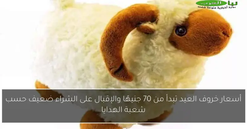 أسعار خروف العيد تبدأ من 70 جنيهًا والإقبال على الشراء ضعيف حسب شعبة الهدايا