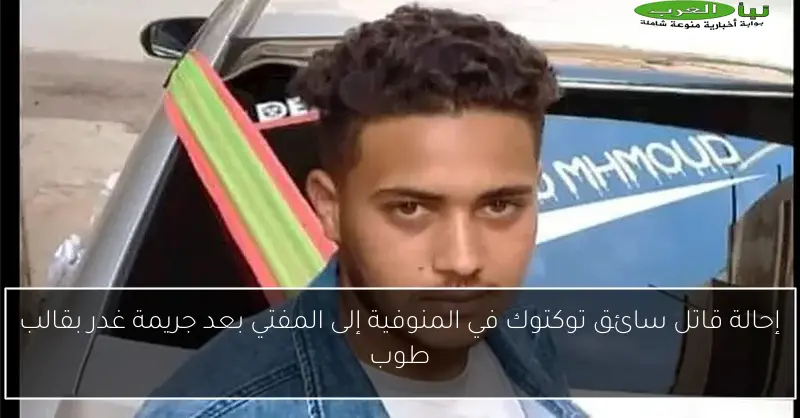 إحالة قاتل سائق توكتوك في المنوفية إلى المفتي بعد جريمة غدر بقالب طوب
