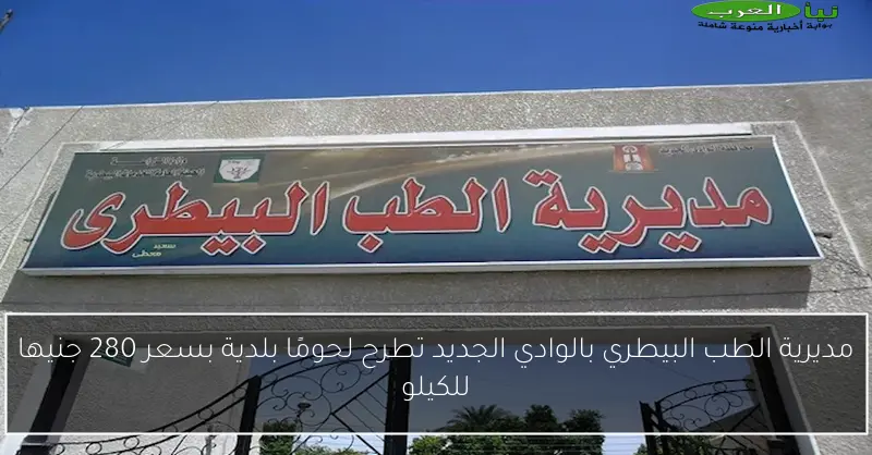 مديرية الطب البيطري بالوادي الجديد تطرح لحومًا بلدية بسعر 280 جنيها للكيلو