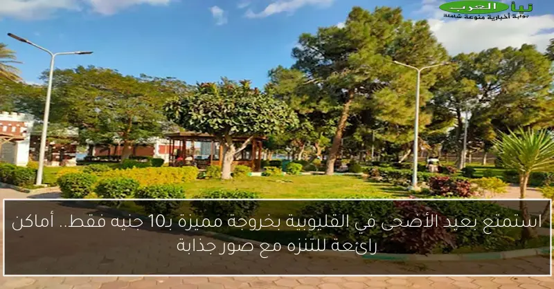 استمتع بعيد الأضحى في القليوبية بخروجة مميزة بـ10 جنيه فقط.. أماكن رائعة للتنزه مع صور جذابة