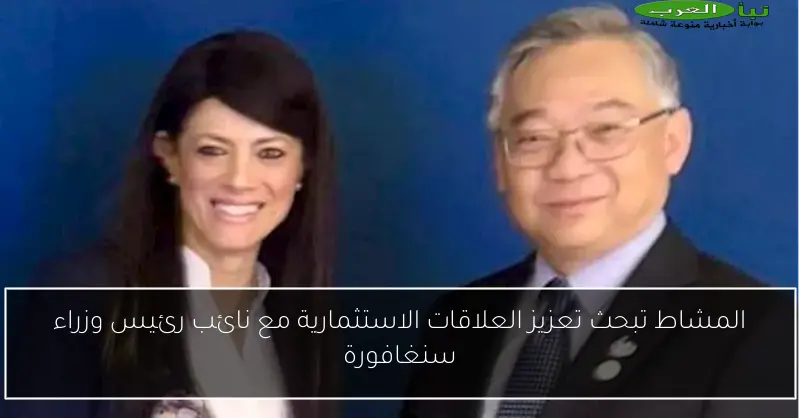 المشاط تبحث تعزيز العلاقات الاستثمارية مع نائب رئيس وزراء سنغافورة