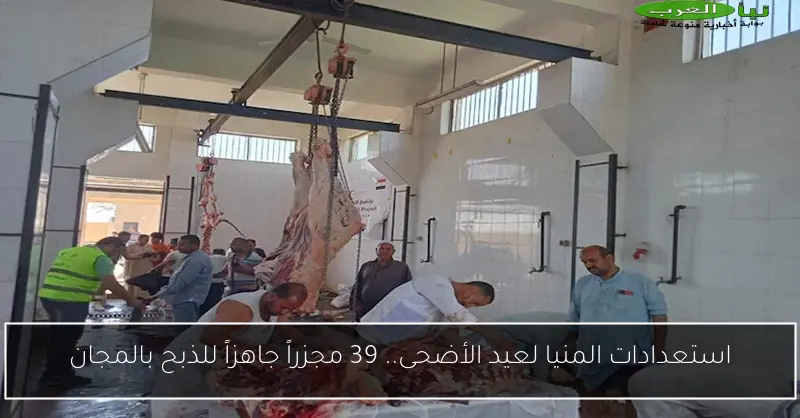 استعدادات المنيا لعيد الأضحى.. 39 مجزراً جاهزاً للذبح بالمجان