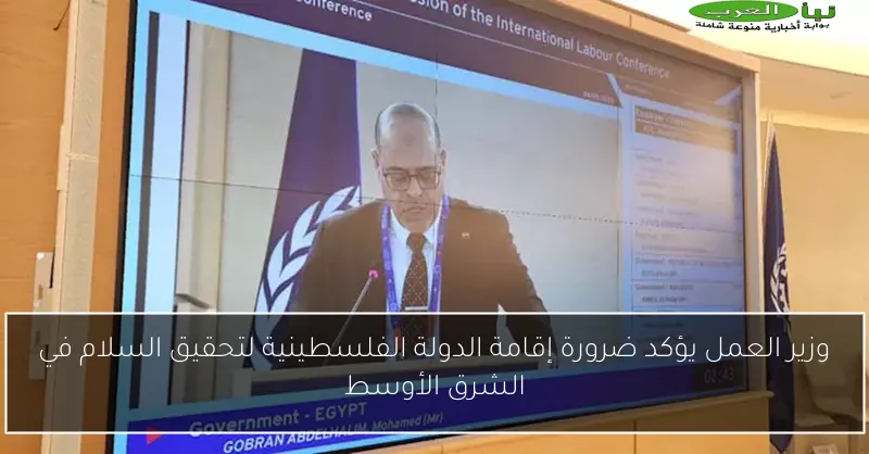 وزير العمل يؤكد ضرورة إقامة الدولة الفلسطينية لتحقيق السلام في الشرق الأوسط