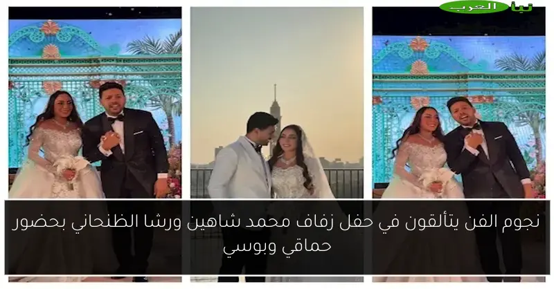 نجوم الفن يتألقون في حفل زفاف محمد شاهين ورشا الظنحاني بحضور حماقي وبوسي