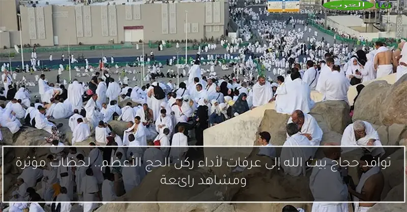 توافد حجاج بيت الله إلى عرفات لأداء ركن الحج الأعظم.. لحظات مؤثرة ومشاهد رائعة