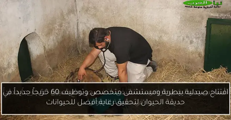 افتتاح صيدلية بيطرية ومستشفى متخصص وتوظيف 60 خريجاً جديداً في حديقة الحيوان لتحقيق رعاية أفضل للحيوانات