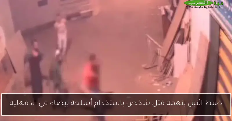 ضبط اثنين بتهمة قتل شخص باستخدام أسلحة بيضاء في الدقهلية