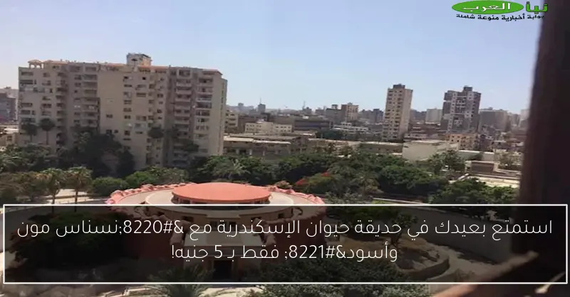 استمتع بعيدك في حديقة حيوان الإسكندرية مع “نسناس مون وأسود” فقط بـ 5 جنيه!