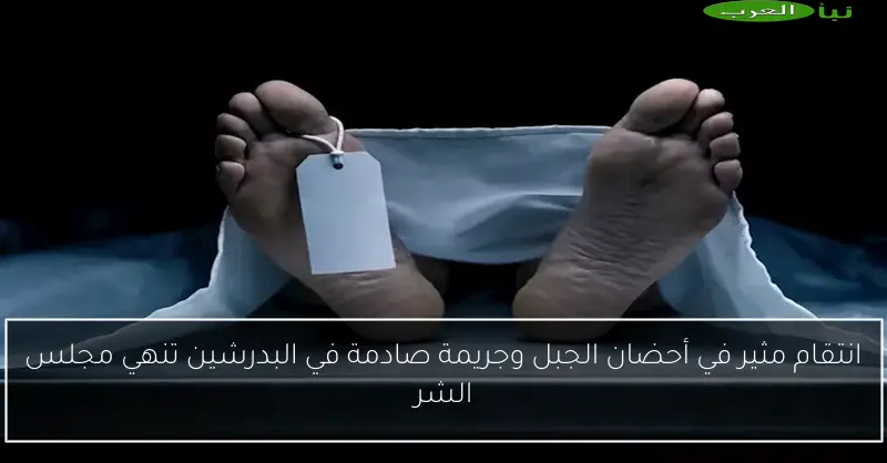 انتقام مثير في أحضان الجبل وجريمة صادمة في البدرشين تنهي مجلس الشر