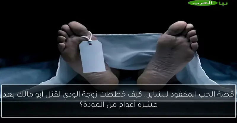 قصة الحب المفقود لبشاير.. كيف خططت زوجة الودي لقتل أبو مالك بعد عشرة أعوام من المودة؟