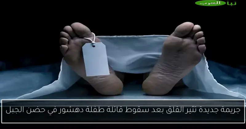 جريمة جديدة تثير القلق بعد سقوط قاتلة طفلة دهشور في حضن الجبل