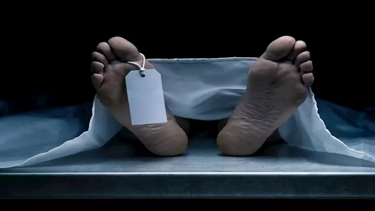 حادث صادم في السعودية.. مصري يقتل أستاذًا جامعيًا قعيدًا ويصيب زوجته