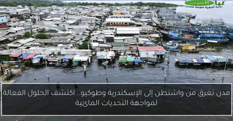 مدن تغرق من واشنطن إلى الإسكندرية وطوكيو.. اكتشف الحلول الفعالة لمواجهة التحديات المائية