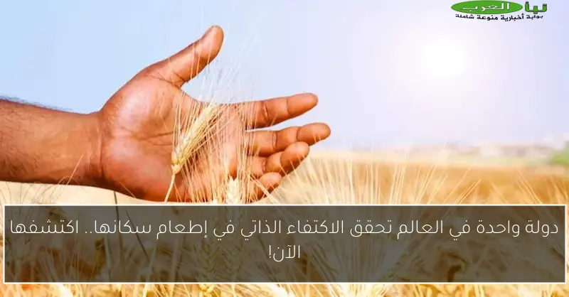دولة واحدة في العالم تحقق الاكتفاء الذاتي في إطعام سكانها.. اكتشفها الآن!