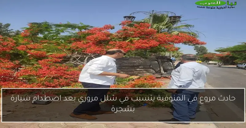 حادث مروع في المنوفية يتسبب في شلل مروري بعد اصطدام سيارة بشجرة