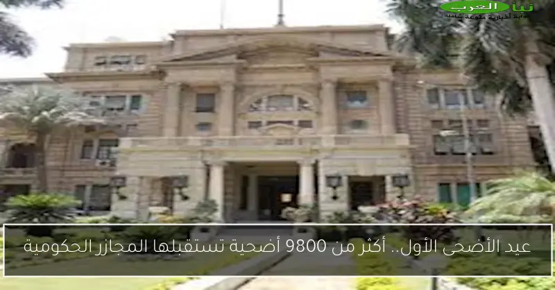 عيد الأضحى الأول.. أكثر من 9800 أضحية تستقبلها المجازر الحكومية