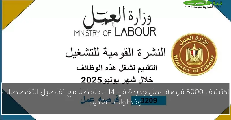 اكتشف 3000 فرصة عمل جديدة في 14 محافظة مع تفاصيل التخصصات وخطوات التقديم
