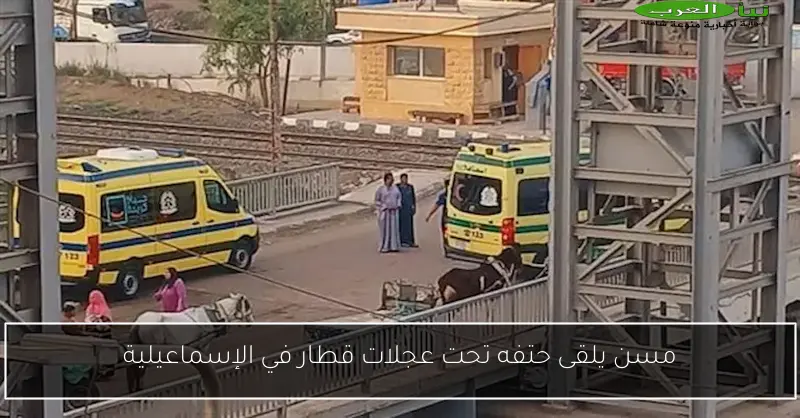 مسن يلقى حتفه تحت عجلات قطار في الإسماعيلية