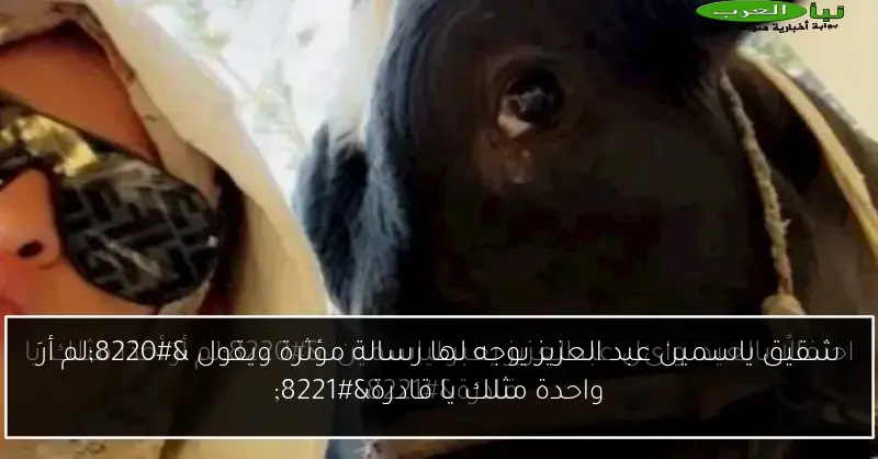 شقيق ياسمين عبد العزيز يوجه لها رسالة مؤثرة ويقول “لم أرَ واحدة مثلك يا قادرة”