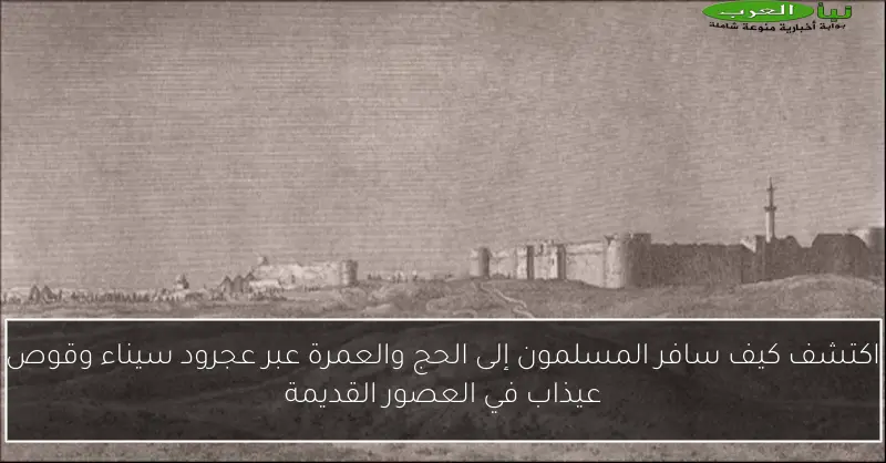 اكتشف كيف سافر المسلمون إلى الحج والعمرة عبر عجرود سيناء وقوص عيذاب في العصور القديمة