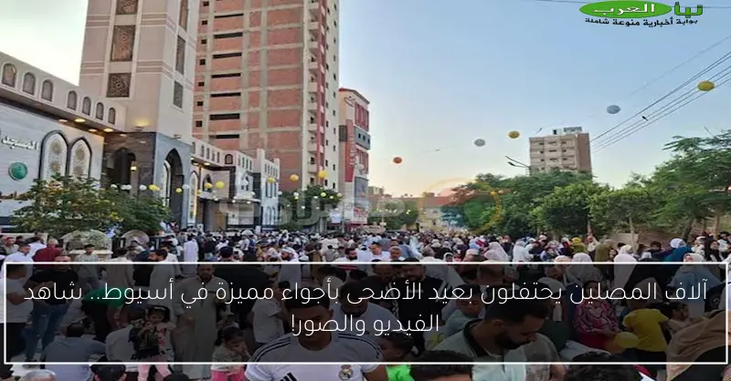 آلاف المصلين يحتفلون بعيد الأضحى بأجواء مميزة في أسيوط.. شاهد الفيديو والصور!