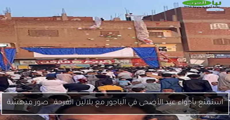 استمتع بأجواء عيد الأضحى في الباجور مع بلالين الفرحة.. صور مدهشة