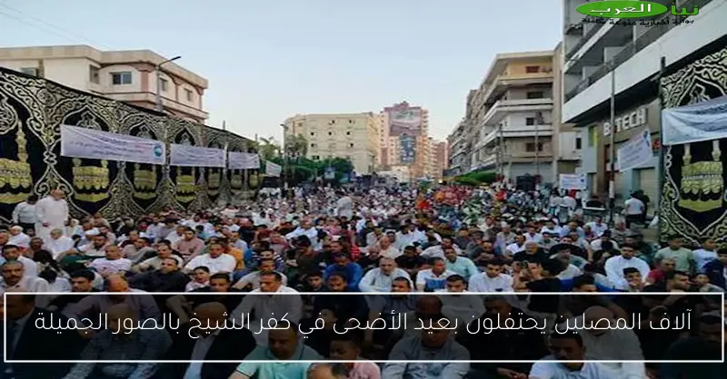 آلاف المصلين يحتفلون بعيد الأضحى في كفر الشيخ بالصور الجميلة