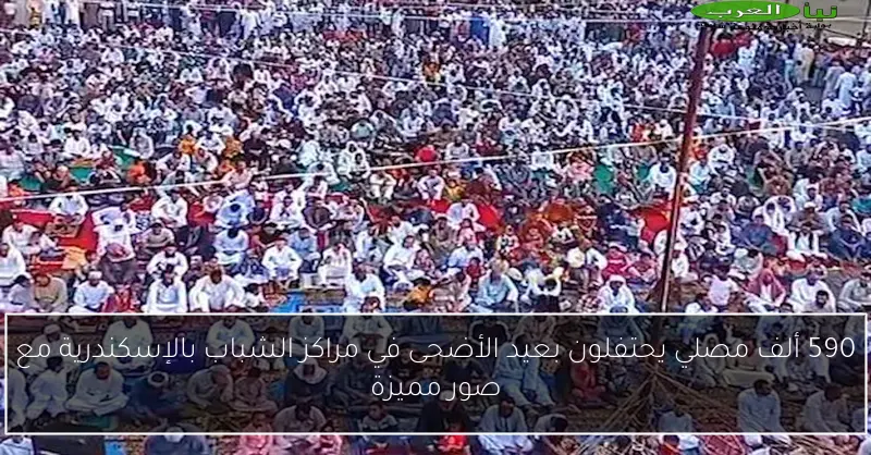 590 ألف مصلي يحتفلون بعيد الأضحى في مراكز الشباب بالإسكندرية مع صور مميزة
