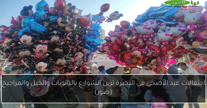 احتفالات عيد الأضحى في البحيرة تزين الشوارع بالبالونات والخيل والمراجيح (صور)