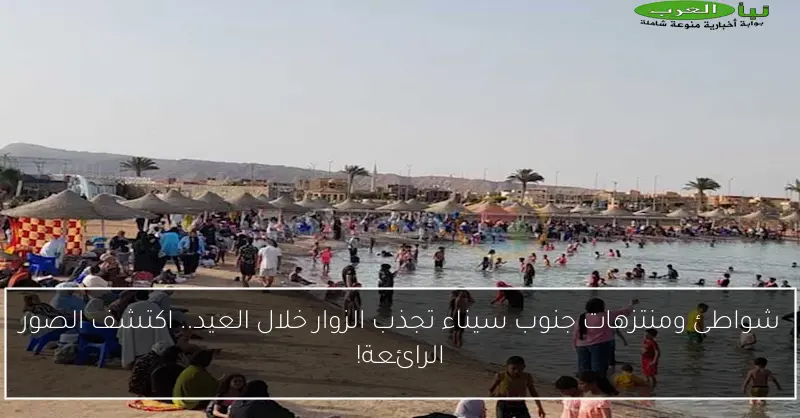شواطئ ومنتزهات جنوب سيناء تجذب الزوار خلال العيد.. اكتشف الصور الرائعة!