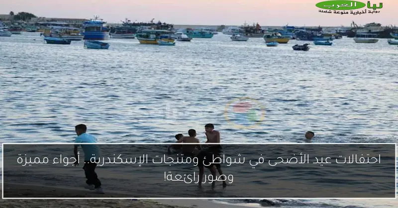 احتفالات عيد الأضحى في شواطئ ومتنجات الإسكندرية.. أجواء مميزة وصور رائعة!