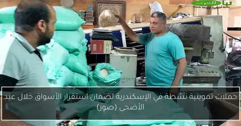 حملات تموينية نشطة في الإسكندرية لضمان استقرار الأسواق خلال عيد الأضحى (صور)