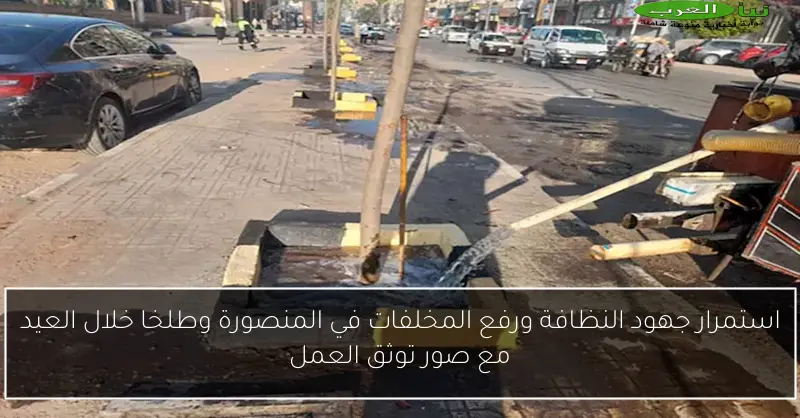 استمرار جهود النظافة ورفع المخلفات في المنصورة وطلخا خلال العيد مع صور توثق العمل