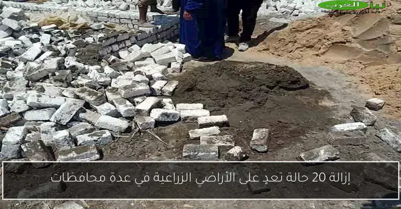 إزالة 20 حالة تعدٍ على الأراضي الزراعية في عدة محافظات