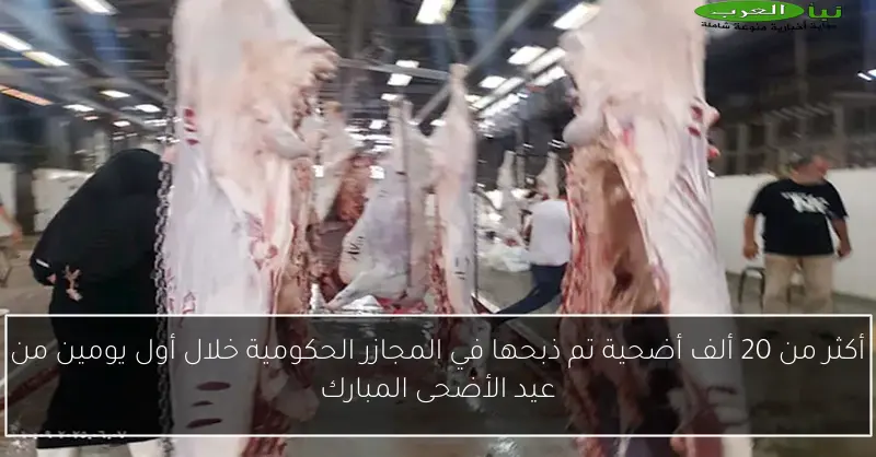 أكثر من 20 ألف أضحية تم ذبحها في المجازر الحكومية خلال أول يومين من عيد الأضحى المبارك