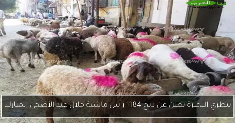 بيطري البحيرة يعلن عن ذبح 1184 رأس ماشية خلال عيد الأضحى المبارك