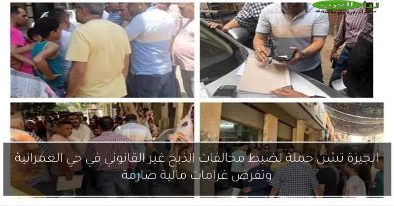 الجيزة تشن حملة لضبط مخالفات الذبح غير القانوني في حي العمرانية وتفرض غرامات مالية صارمة