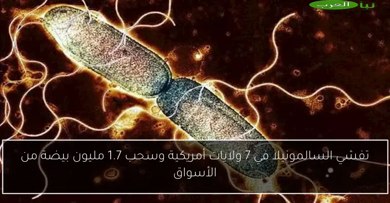 تفشي السالمونيلا في 7 ولايات أمريكية وسحب 1.7 مليون بيضة من الأسواق